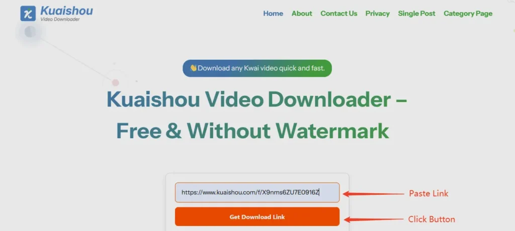 Kuaishou video downloader interface screenshot